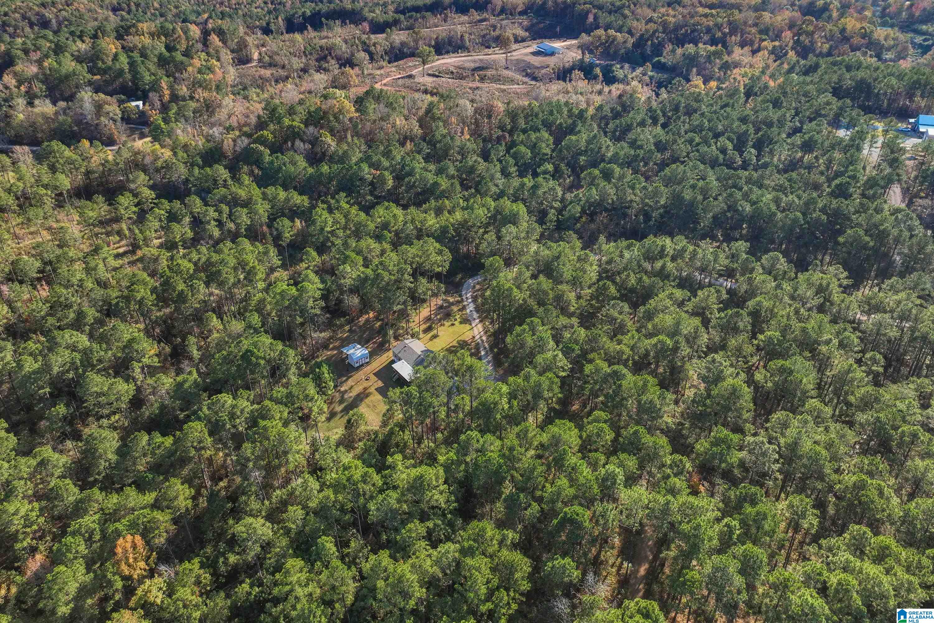 203 Gould Road Columbiana, AL 35051 - Photo 48 of 56