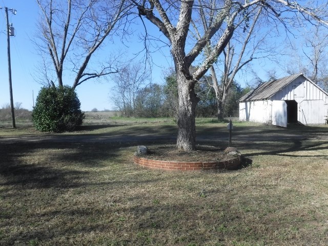 86 Montgomery Road Reynolds, GA 31076 - Photo 22 of 27 a view of a yard with a tree