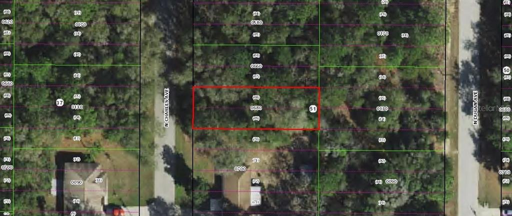 259 North Charles Avenue Inverness, FL 34453 - Photo 1 of 3