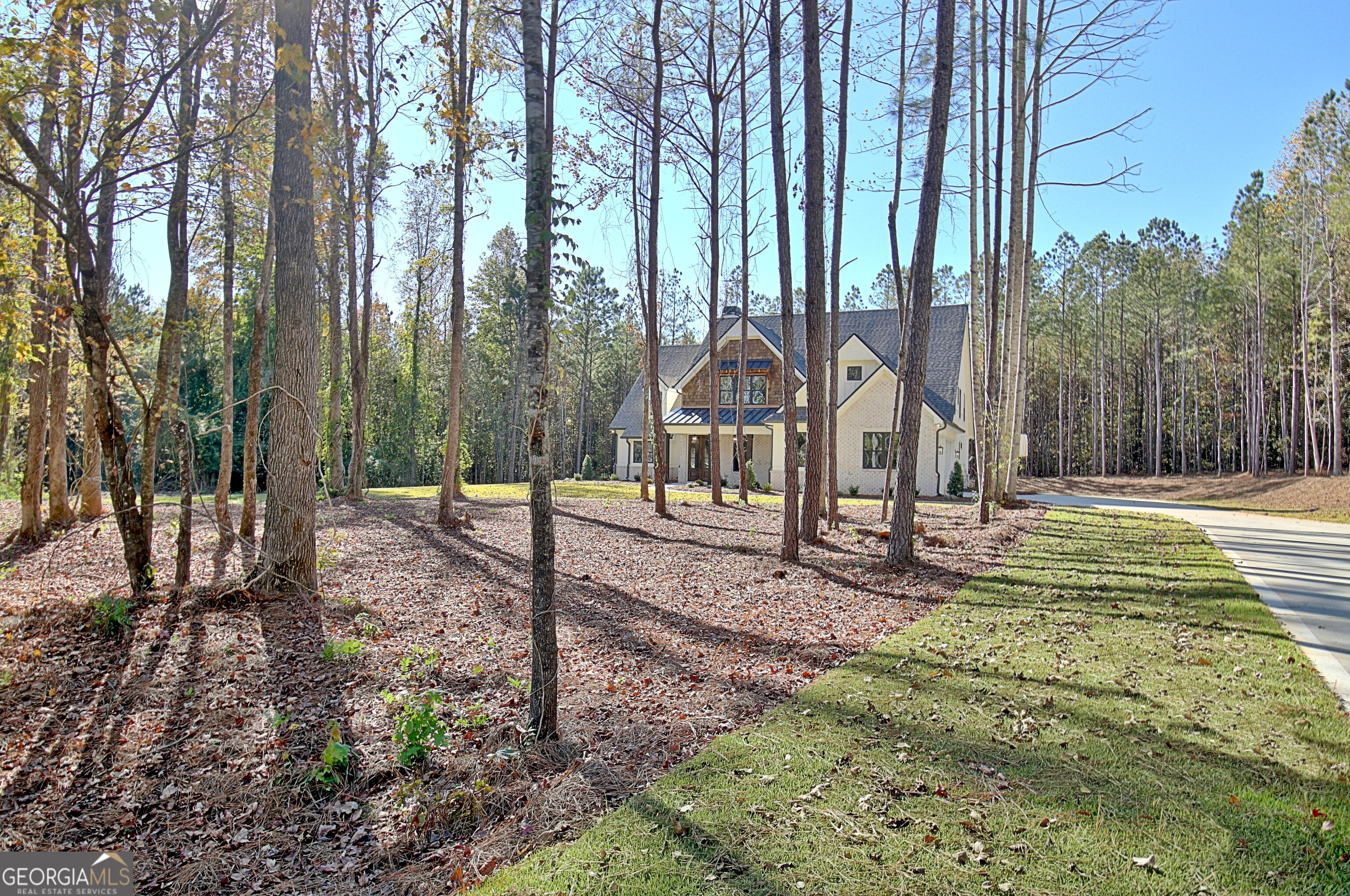 196 Bob Smith Road Sharpsburg, GA 30277 - Photo 2 of 68 a view of a park with iron fence