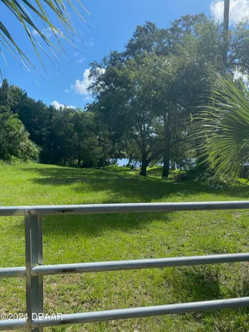 a view of a park with large trees