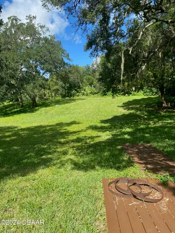 a view of a park with large trees