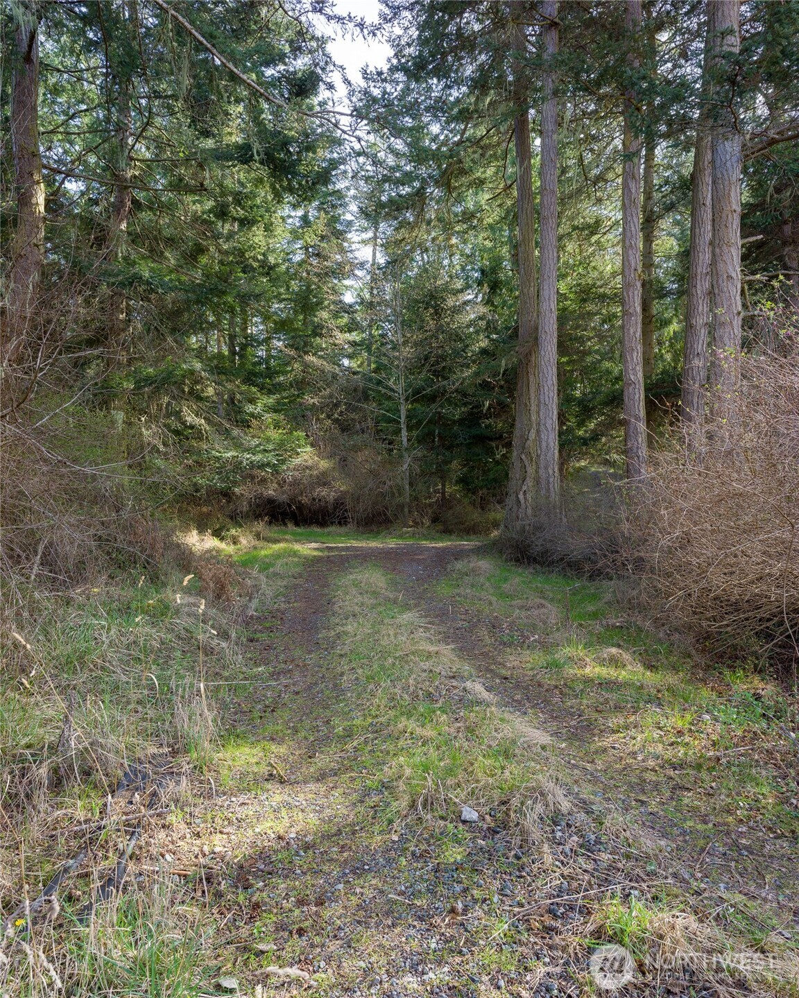 4722 Mud Bay Road Lopez Island, WA 98261 - Photo 13 of 22 Gallery Image 13