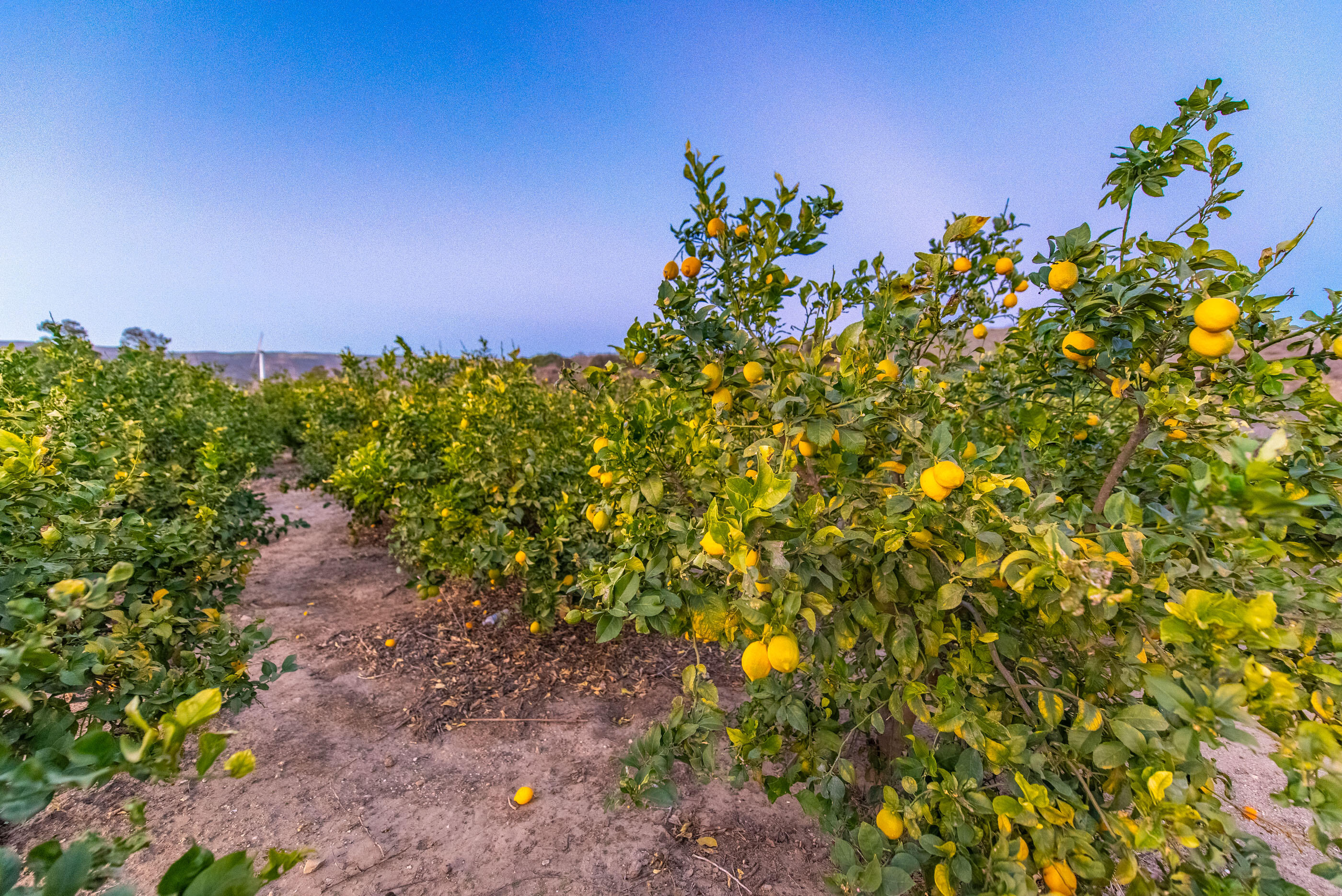 15299 Middle Ranch Road Moorpark, CA 93021 - Photo 29 of 32 15299 Middle Ranch Rd Moorpark-1