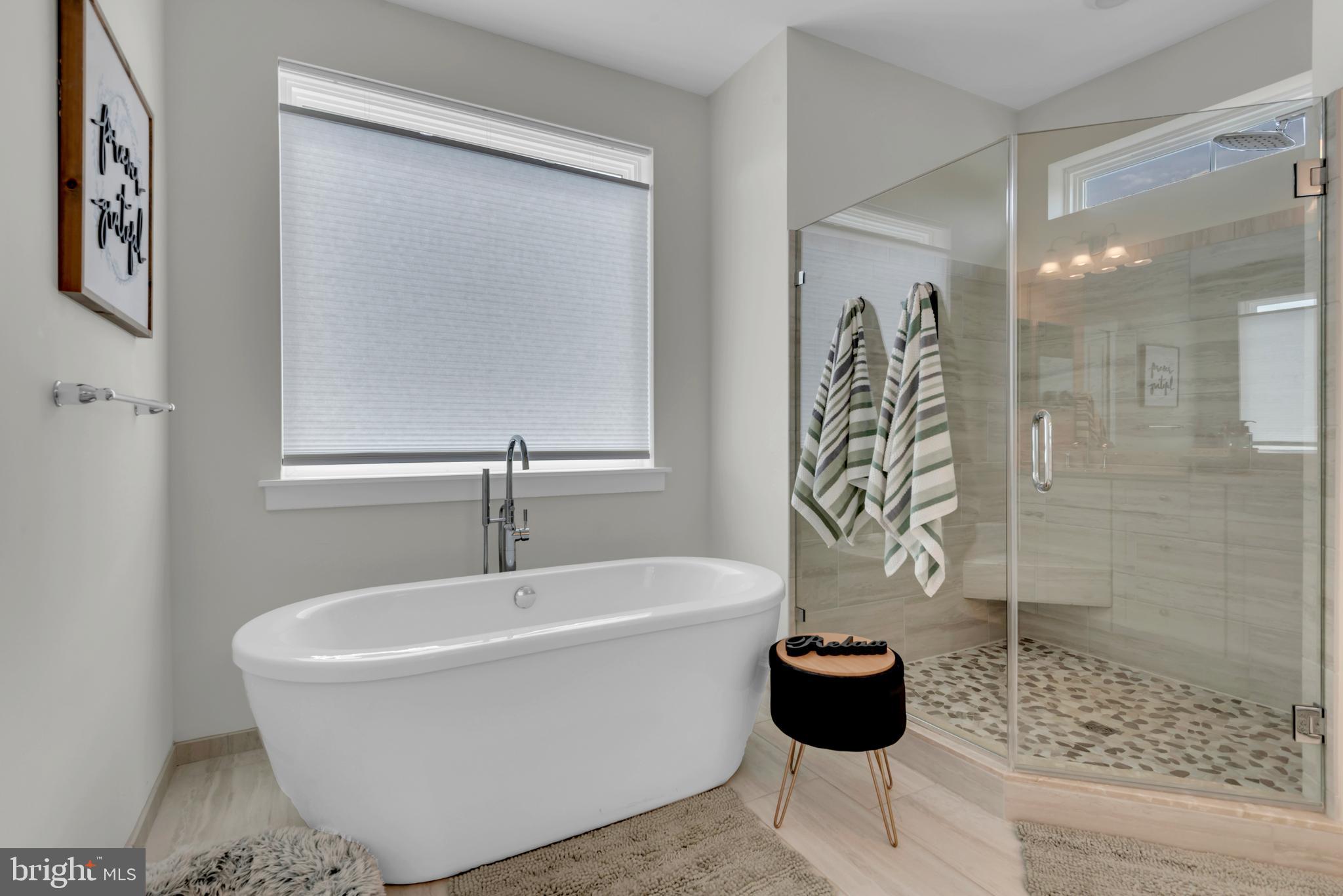 3676 Birdsville Road Davidsonville, MD 21035 - Photo 28 of 90 Primary Bath