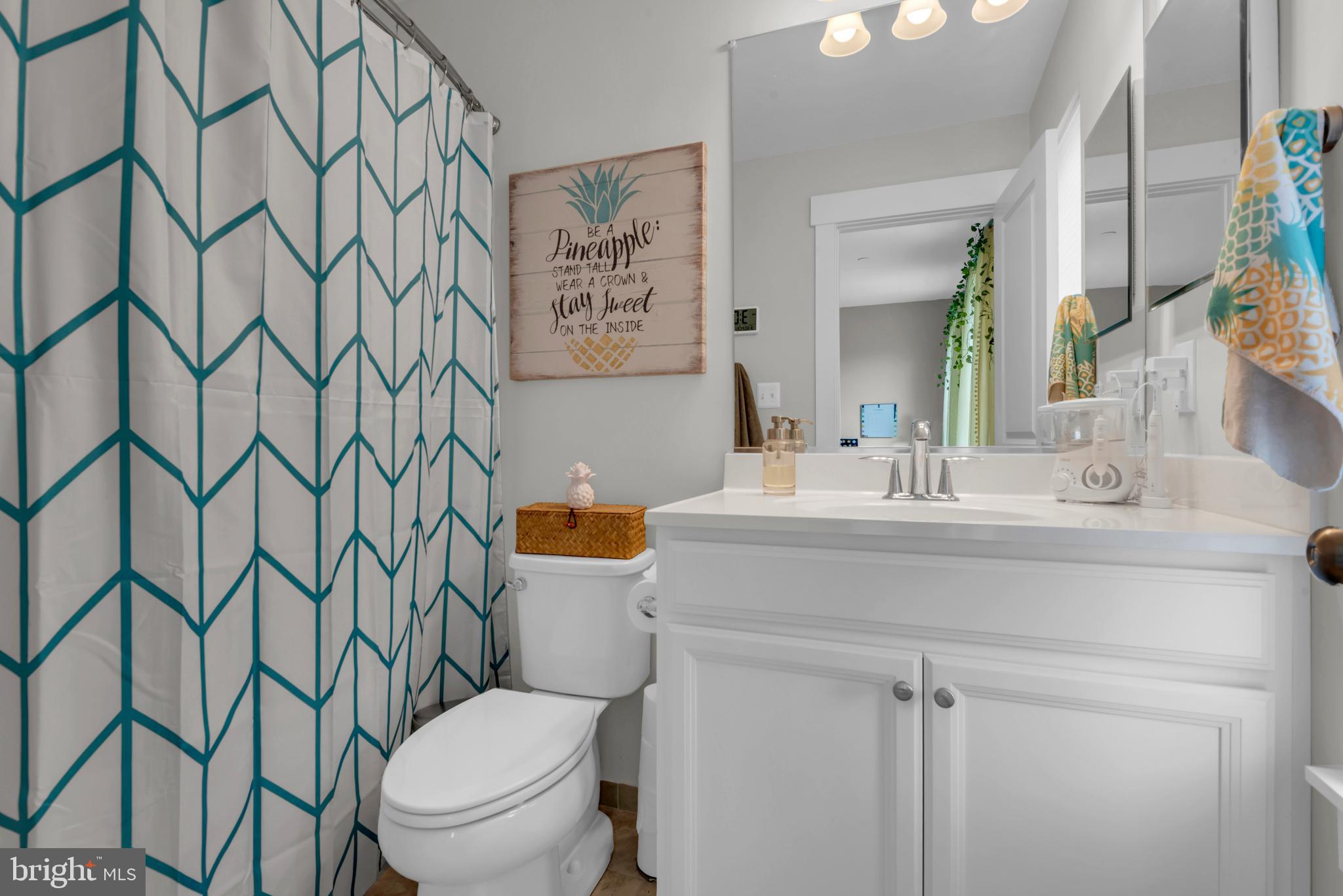 3676 Birdsville Road Davidsonville, MD 21035 - Photo 41 of 90 suite bath