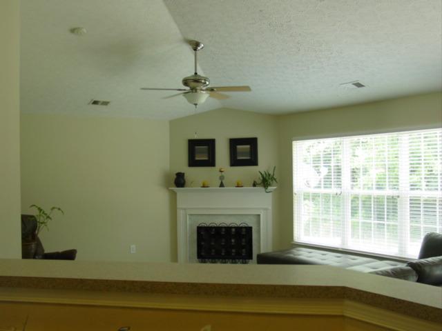 1071 Rambling Brook Road Nashville, TN 37218 - Photo 3 of 20 BIG WINDOW FOR LOTS OF NATURAL LIGHT