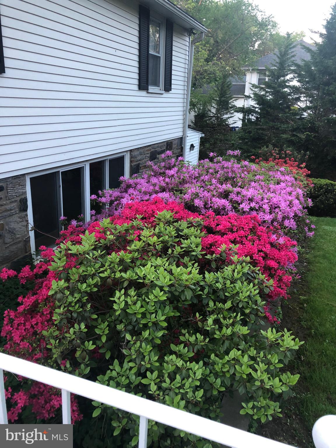 2609 Arbor Road Broomall, PA 19008 - Photo 42 of 44 Gallery Image 42