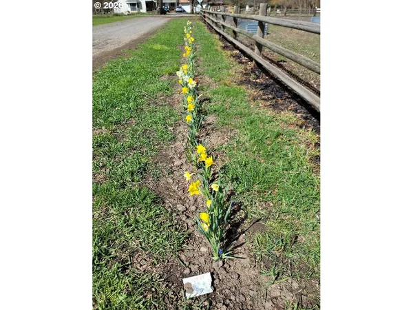 $541,000 | 293 East Ivy Lane, Union, OR 97883