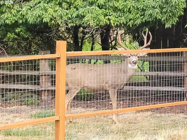 $541,000 | 293 East Ivy Lane, Union, OR 97883