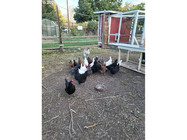 $541,000 | 293 East Ivy Lane, Union, OR 97883