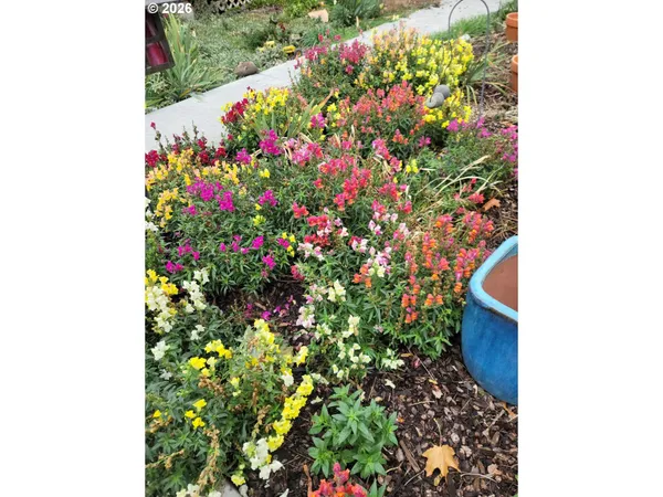 $541,000 | 293 East Ivy Lane, Union, OR 97883