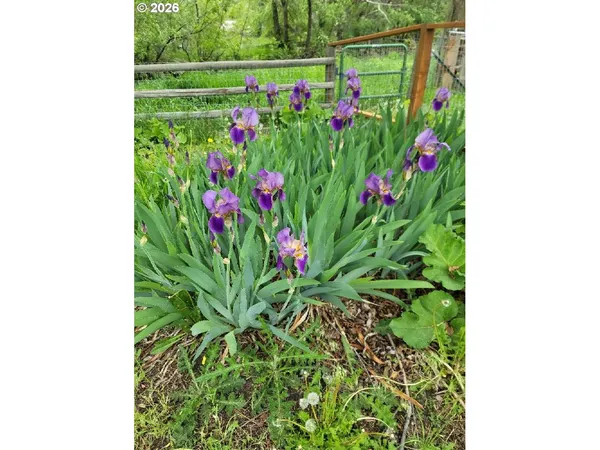 $541,000 | 293 East Ivy Lane, Union, OR 97883