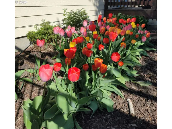 $541,000 | 293 East Ivy Lane, Union, OR 97883