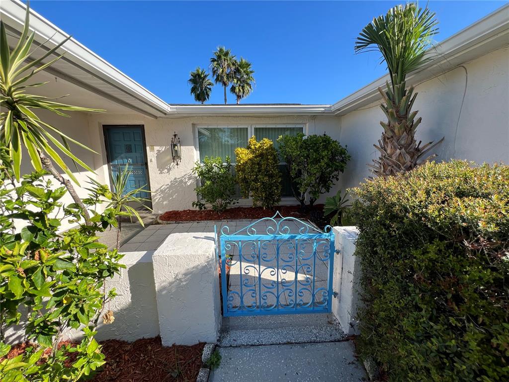 7403 Populus Drive Port Richey, FL 34668 - Photo 3 of 50 a front view of a house with a yard