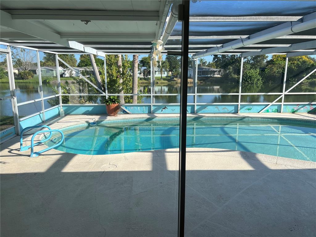 7403 Populus Drive Port Richey, FL 34668 - Photo 43 of 50 a view of a backyard with swimming pool