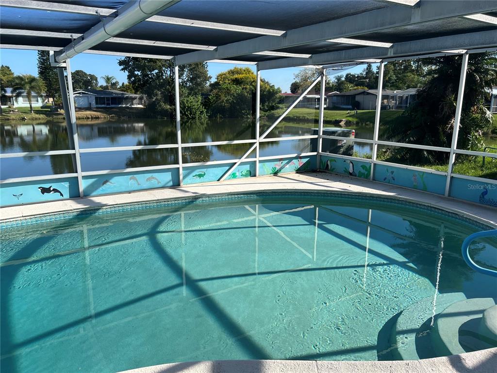 7403 Populus Drive Port Richey, FL 34668 - Photo 5 of 50 a view of a backyard