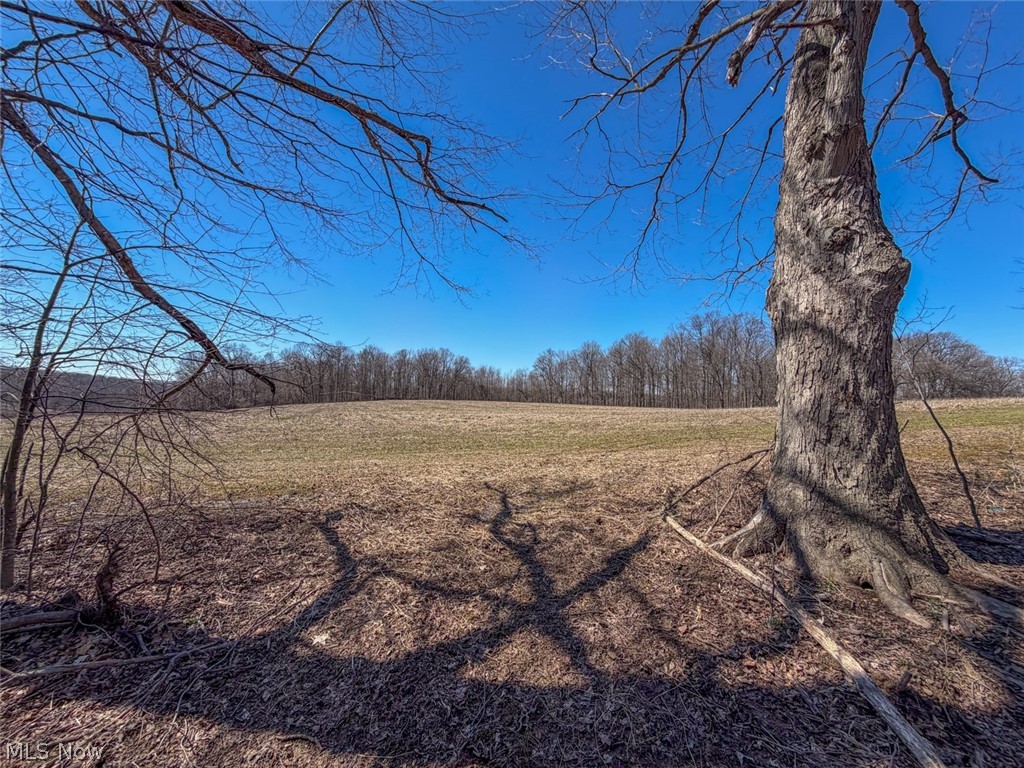 17970 Scott Road Mount Vernon, OH 43050 - Photo 14 of 35