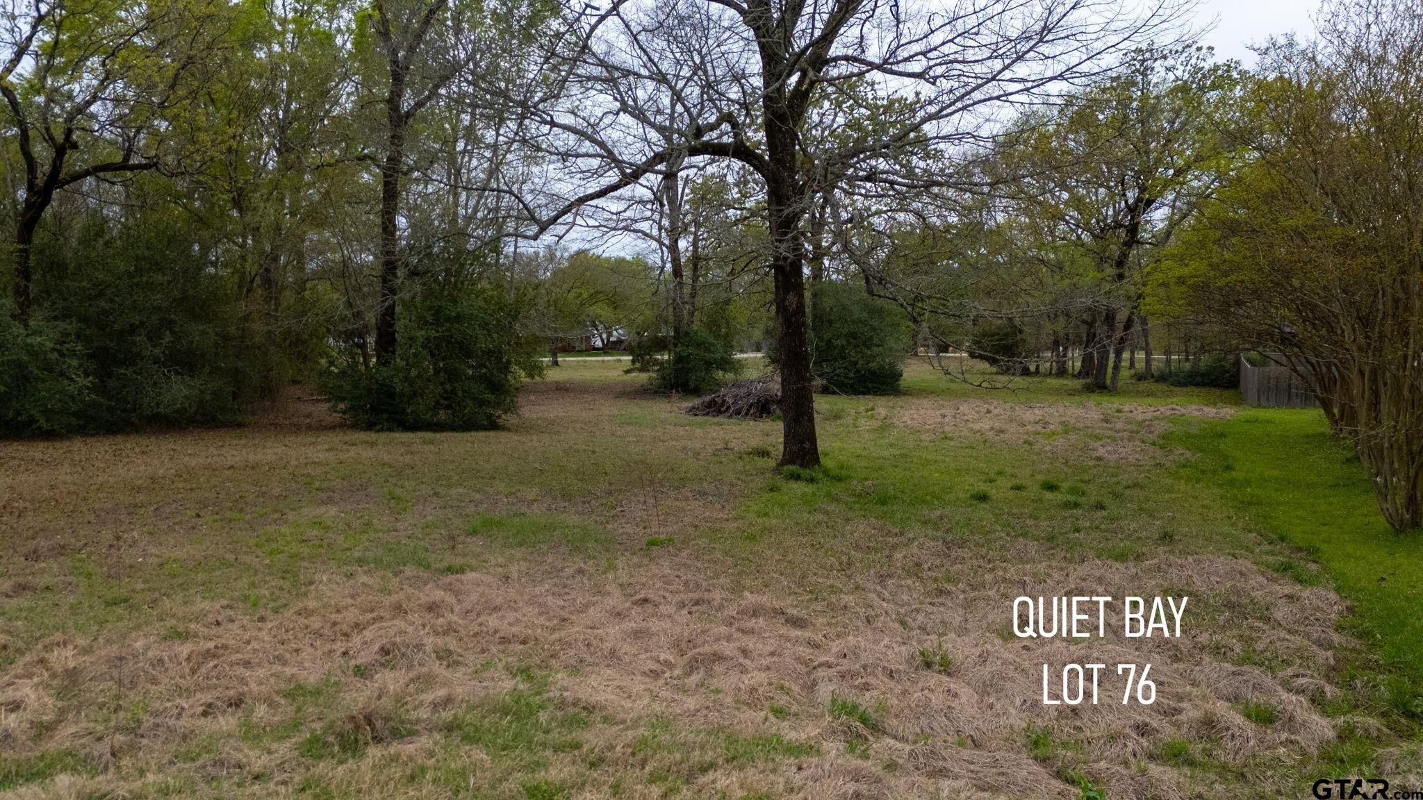 0 Jessie Hale Road Tyler, TX 75707 - Photo 11 of 13 a view of a park