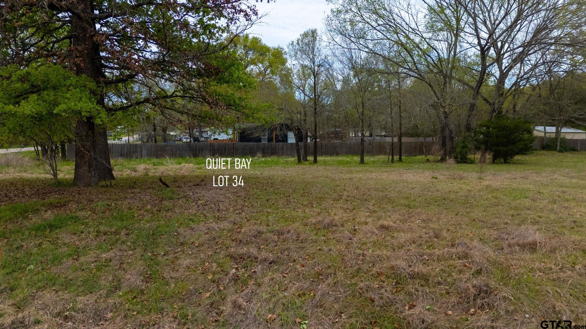 0 Jessie Hale Road Tyler, TX 75707 - Photo 12 of 13 a view of a park with large trees