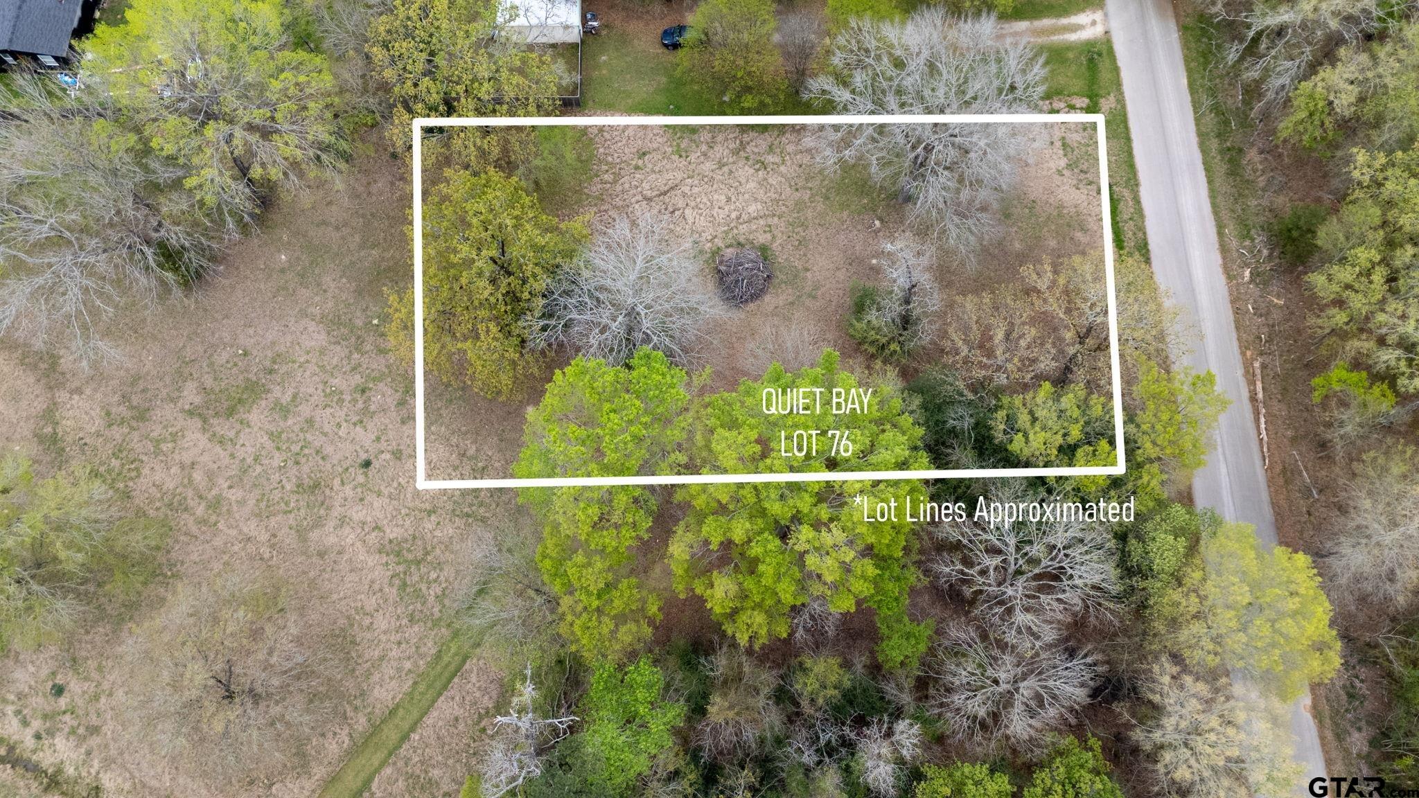 0 Jessie Hale Road Tyler, TX 75707 - Photo 6 of 13 a view of a small garden