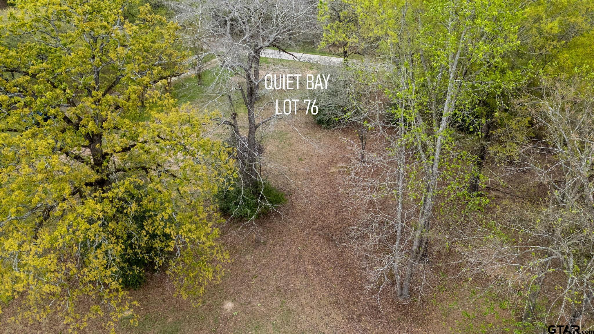 0 Jessie Hale Road Tyler, TX 75707 - Photo 9 of 13 a view of a pathway of a building