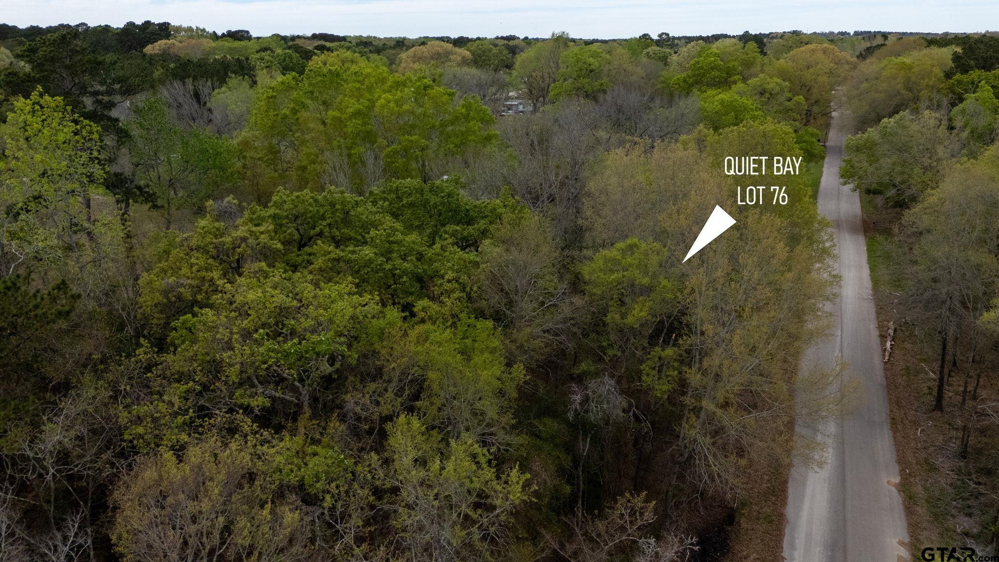 0 Jessie Hale Road Tyler, TX 75707 - Photo 10 of 13 a view of a forest with a street