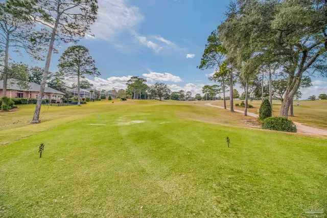 a view of a yard with a flower in a garden