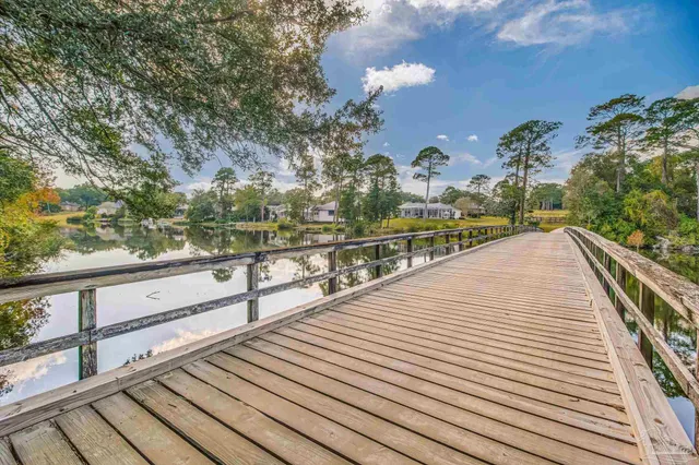 a view of a park with large trees