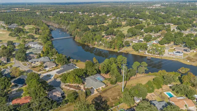 a street view with large trees