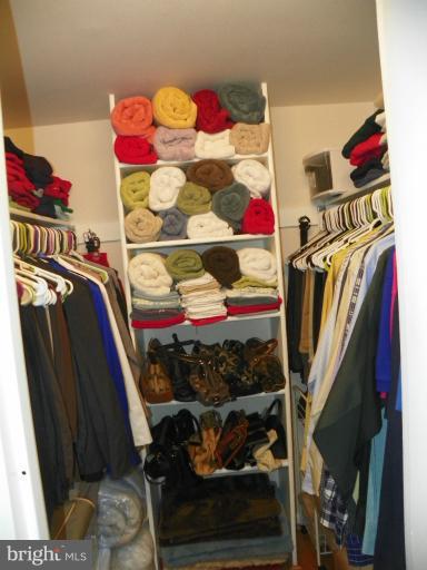 2241 Castle Rock Square, Unit 12C Reston, VA 20191 - Photo 4 of 17 Closet in MBR