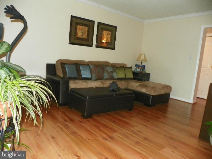 2241 Castle Rock Square, Unit 12C Reston, VA 20191 - Photo 5 of 17 Living Room