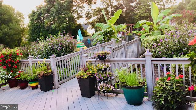 1606 Wise Road Point of Rocks, MD 21777 - Photo 66 of 67 a view of a balcony with flower pots