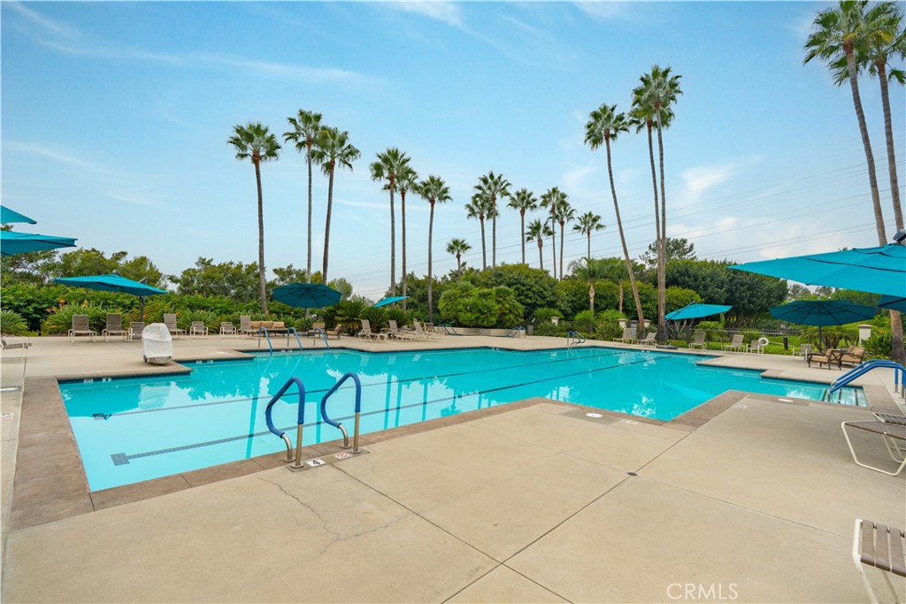 21511 Canaria Mission Viejo, CA 92692 - Photo 46 of 62 Palmia sparkling pool