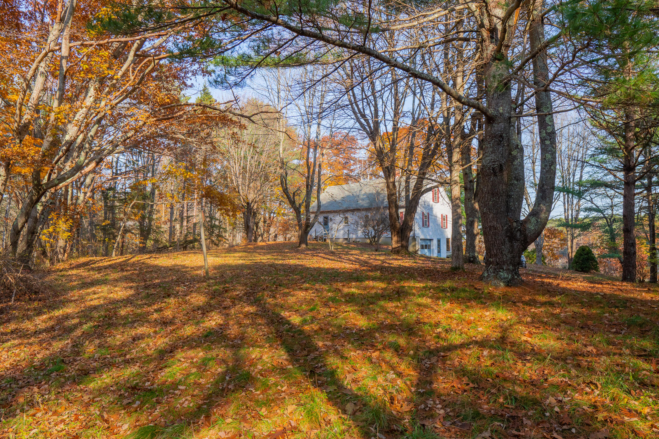 1027 Main Road Phippsburg, ME 04562 - Photo 53 of 64 1027 Main Road Phippsburg 53