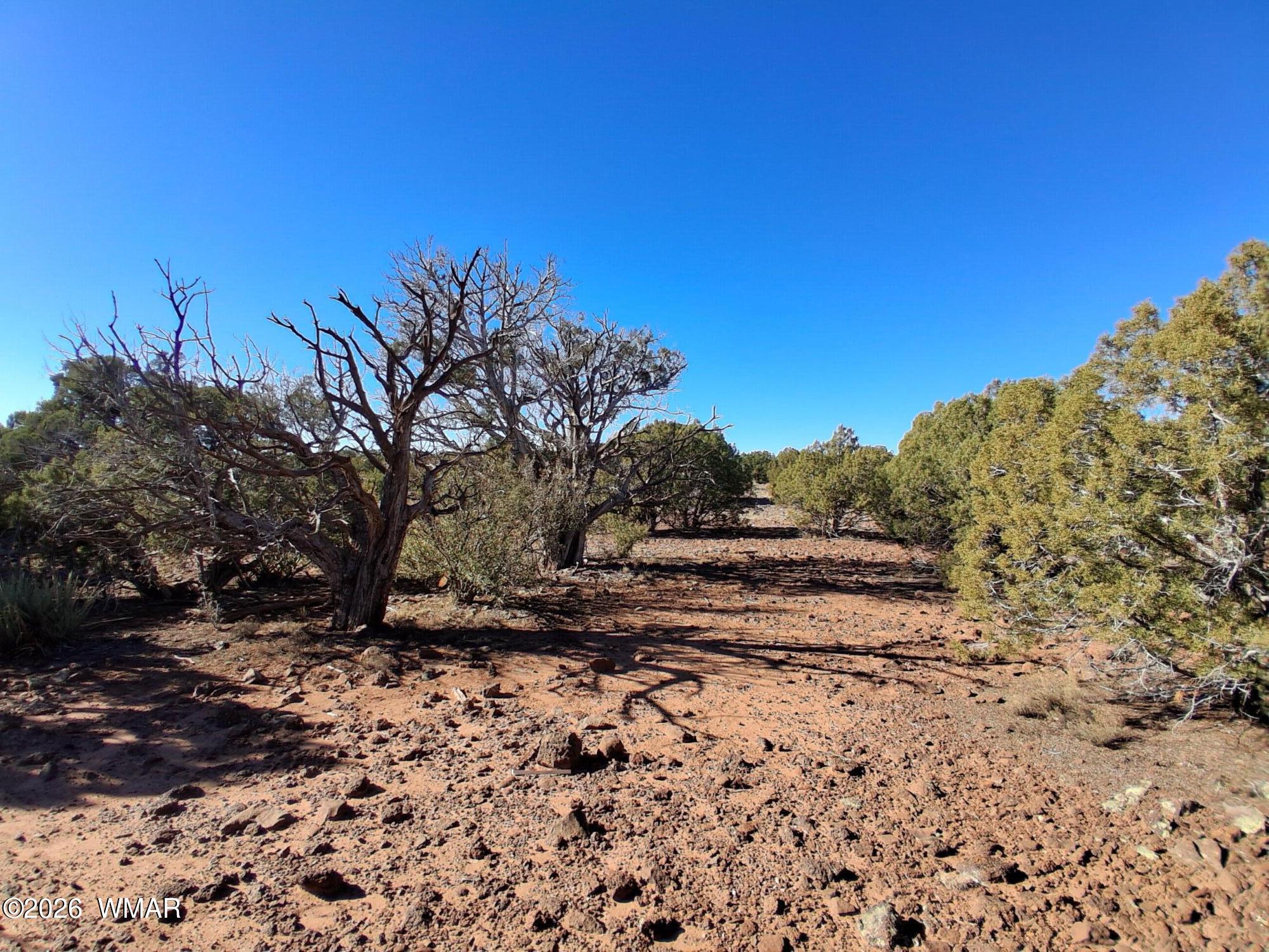 202 County Road Concho, AZ 85924 - Photo 4 of 5
