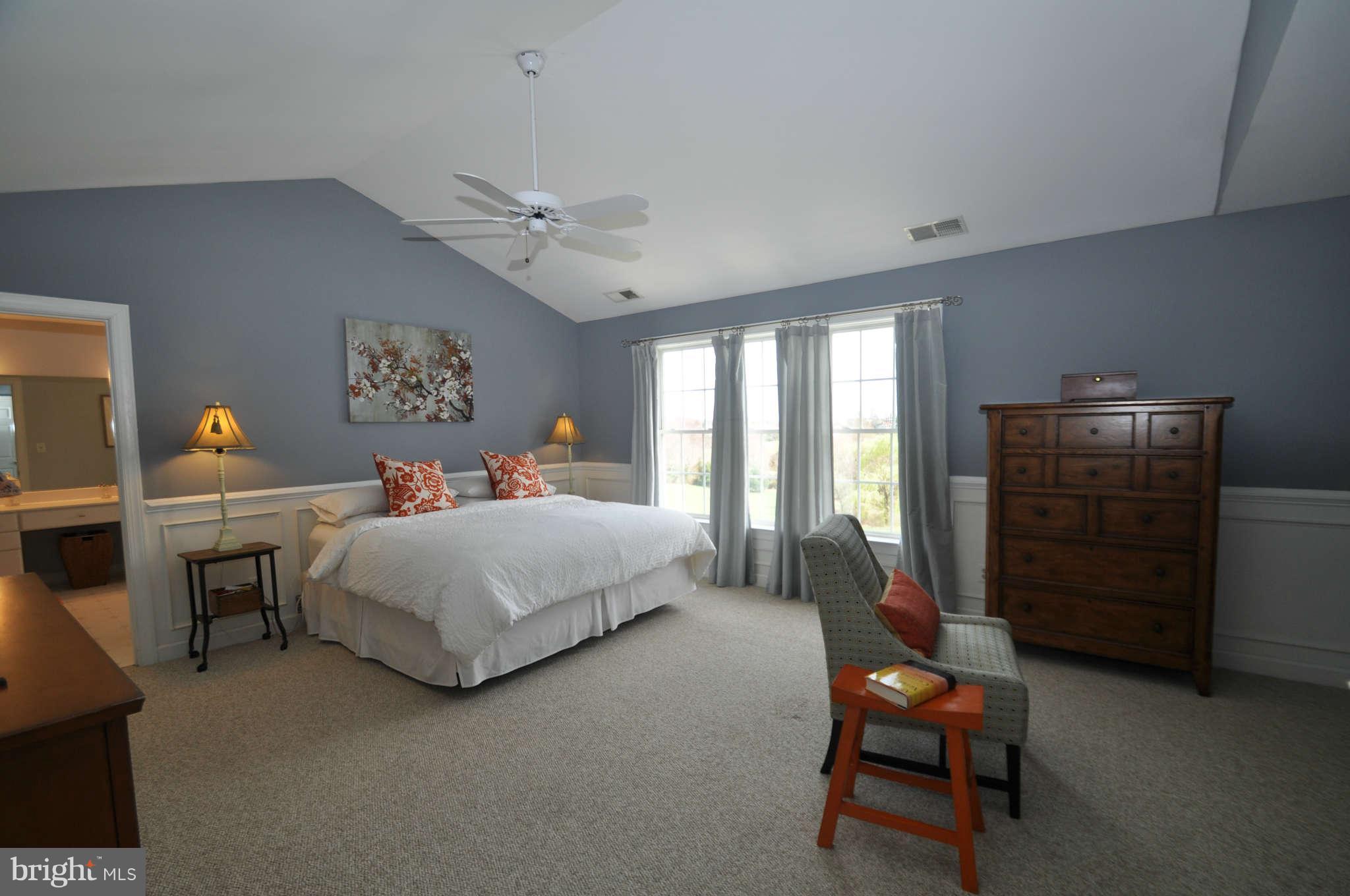 17531 Country View Way Mount Airy, MD 21771 - Photo 16 of 30 Owners Suite features Gorgeous Wainscotting