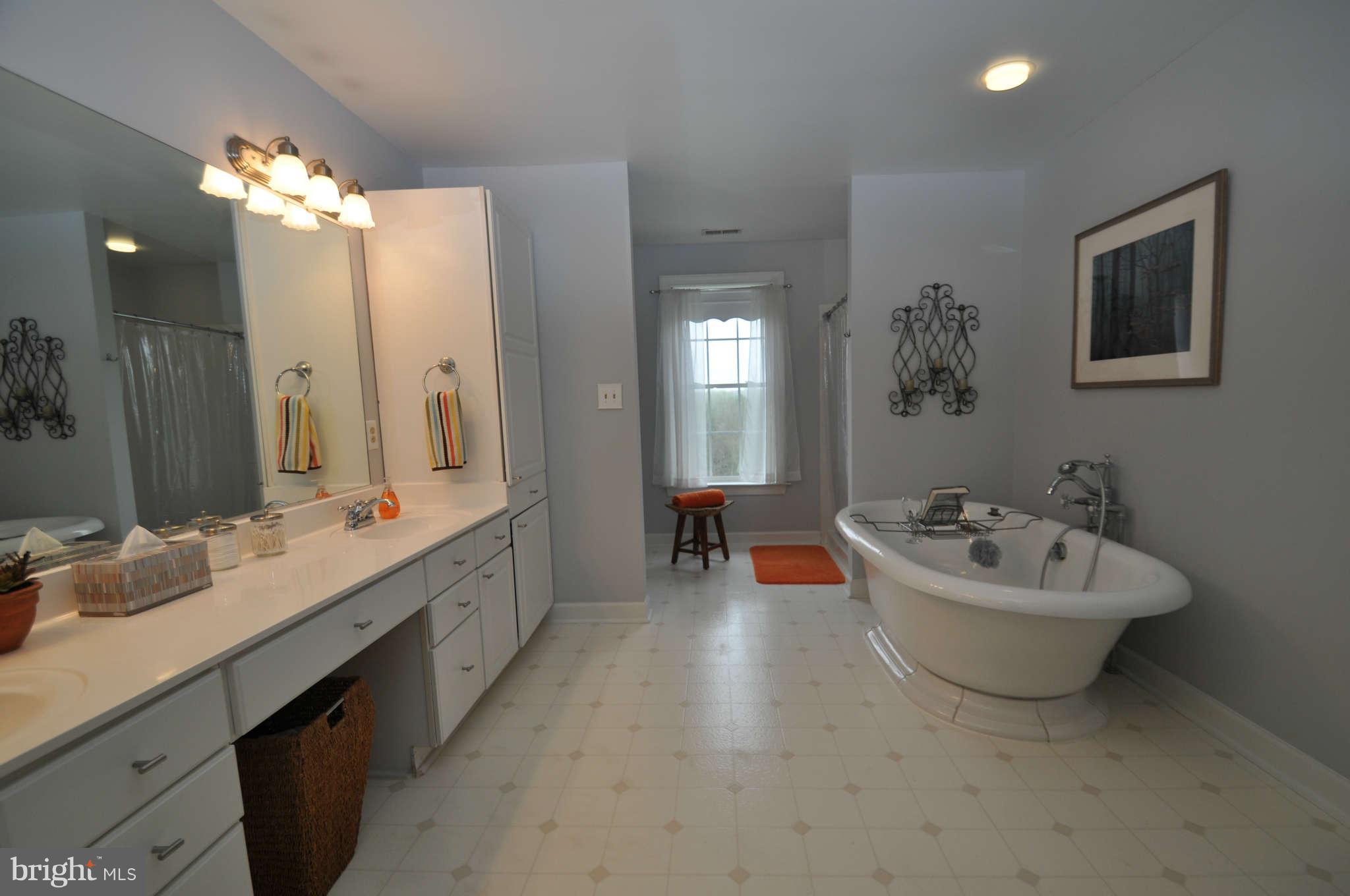 17531 Country View Way Mount Airy, MD 21771 - Photo 17 of 30 Dual Sinks & Soaking Tub