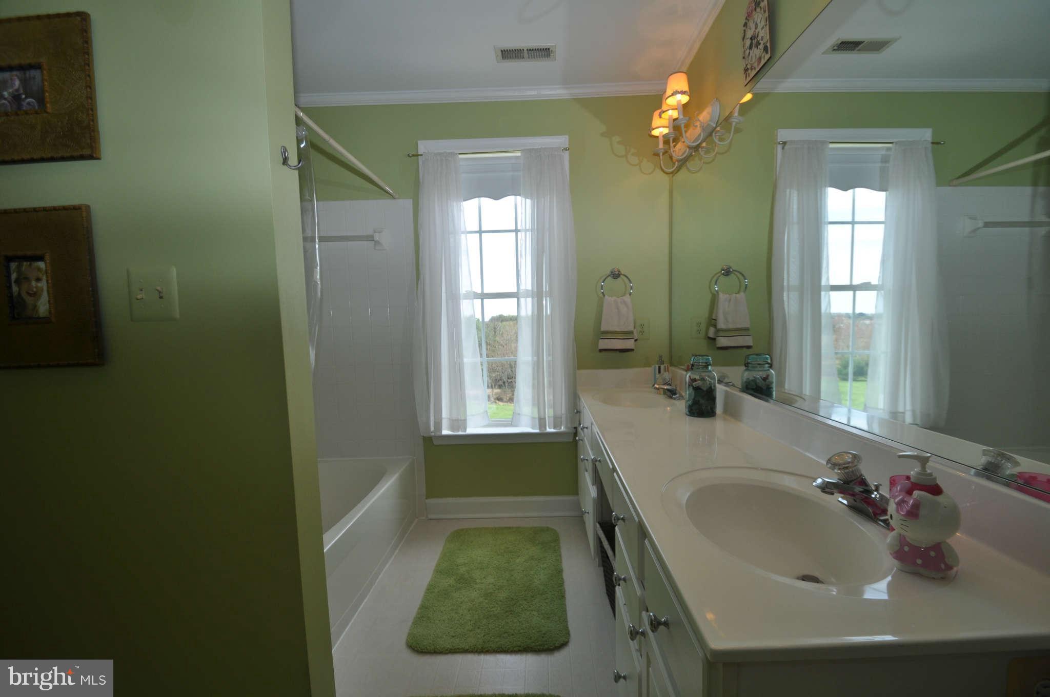 17531 Country View Way Mount Airy, MD 21771 - Photo 29 of 30 Upstairs Hall Bathroom