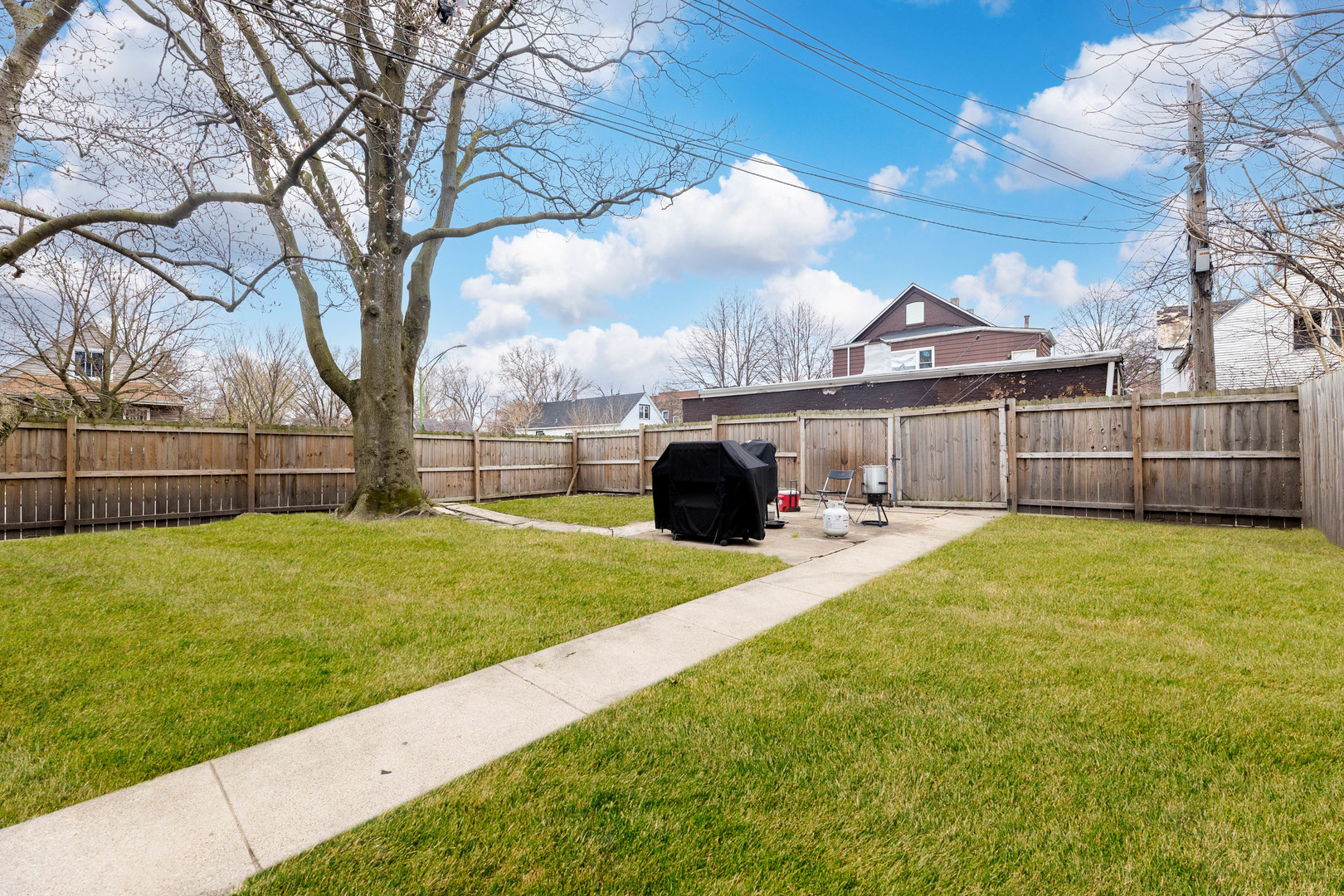 12258 South Normal Avenue Chicago, IL 60628 - Photo 20 of 21 a view of a garden with a large tree