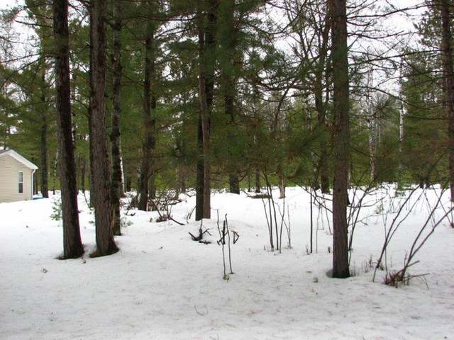 Lot 85 Timber Lane Rhinelander, WI 54501 - Photo 5 of 9 Gallery Image 5
