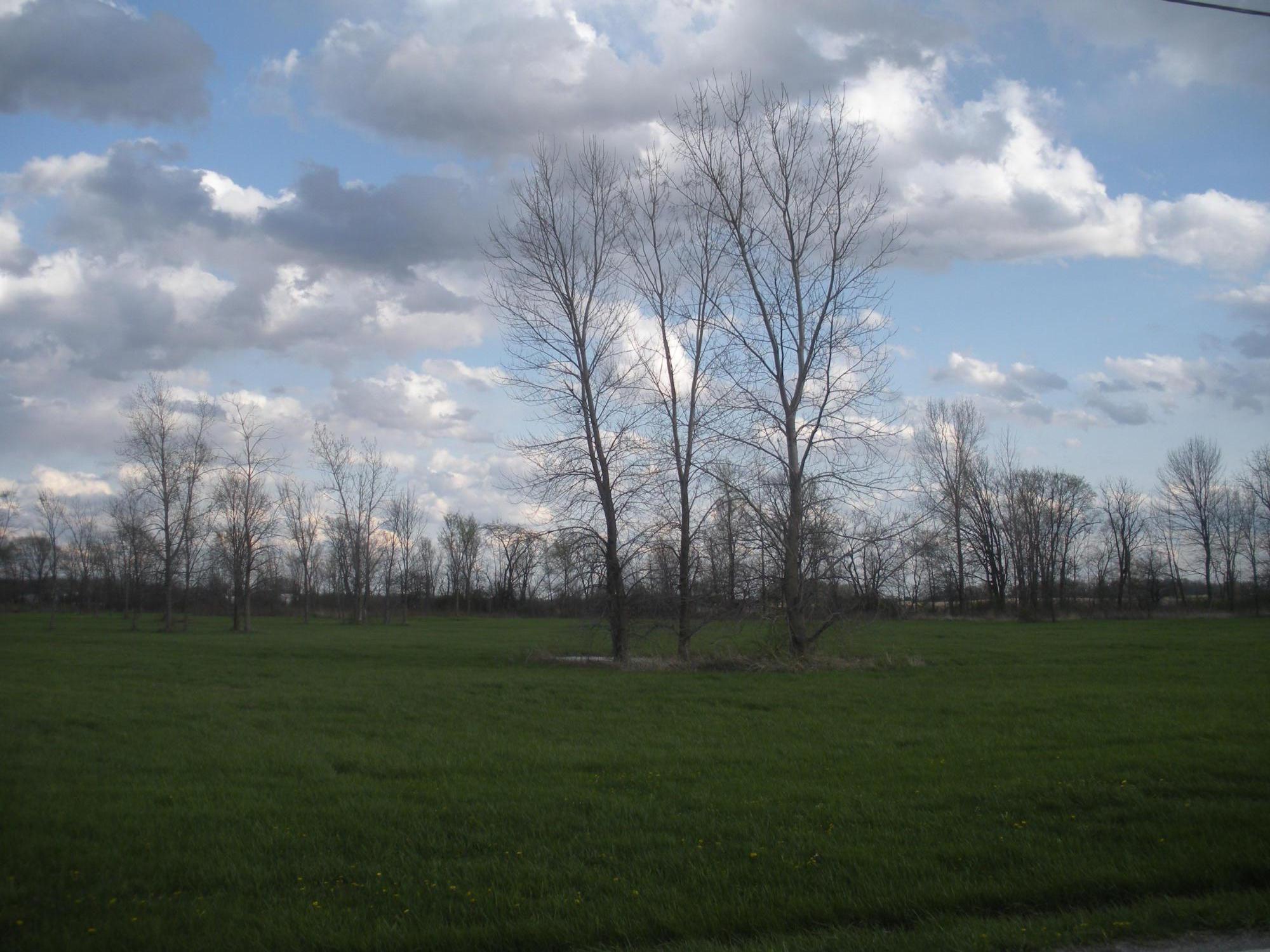 0 Reid Road Northwest Jeffersonville, OH 43128 - Photo 2 of 3