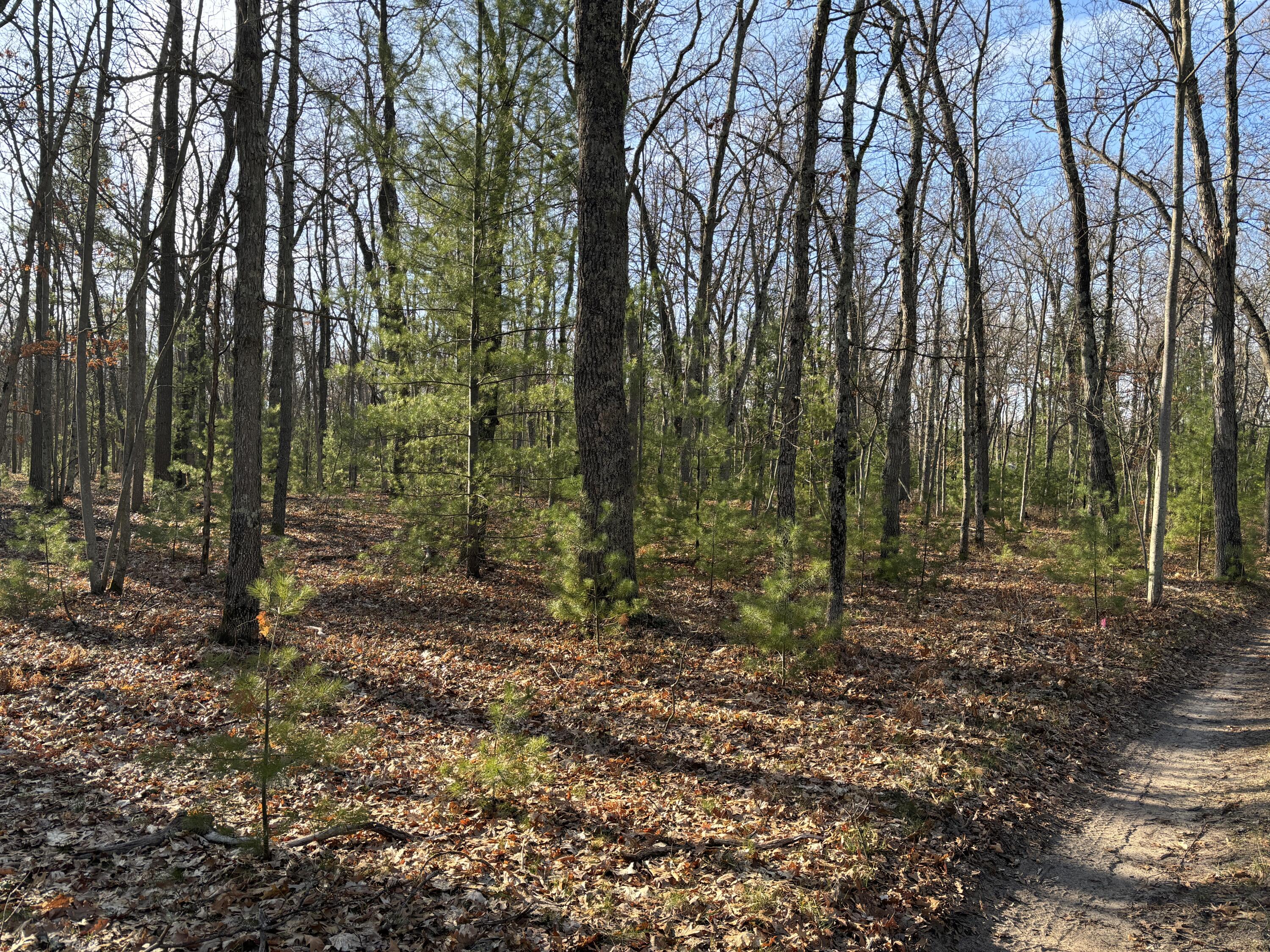 11322 North Tuttle Road Free Soil, MI 49411 - Photo 11 of 13 11