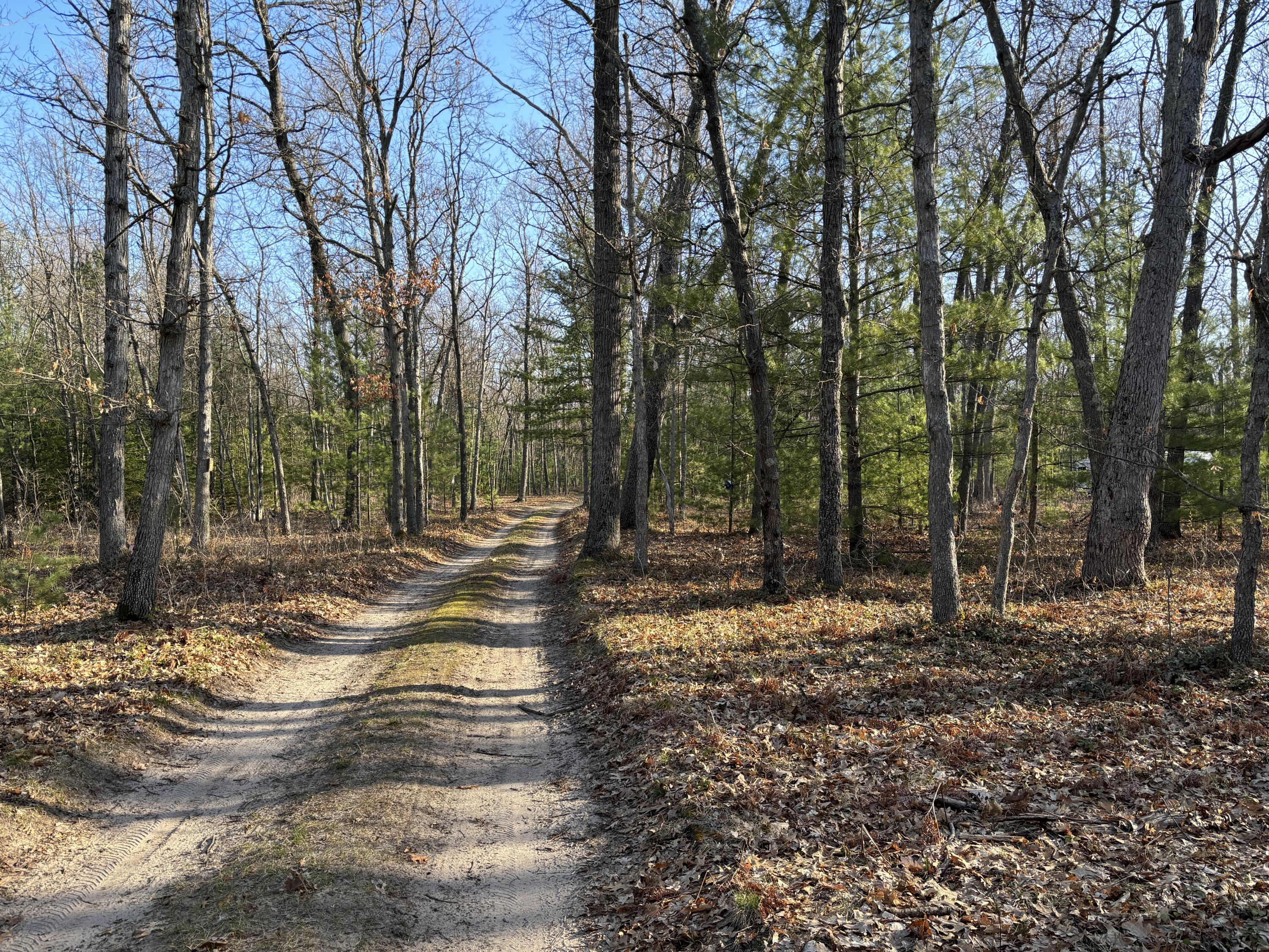 11322 North Tuttle Road Free Soil, MI 49411 - Photo 12 of 13 12