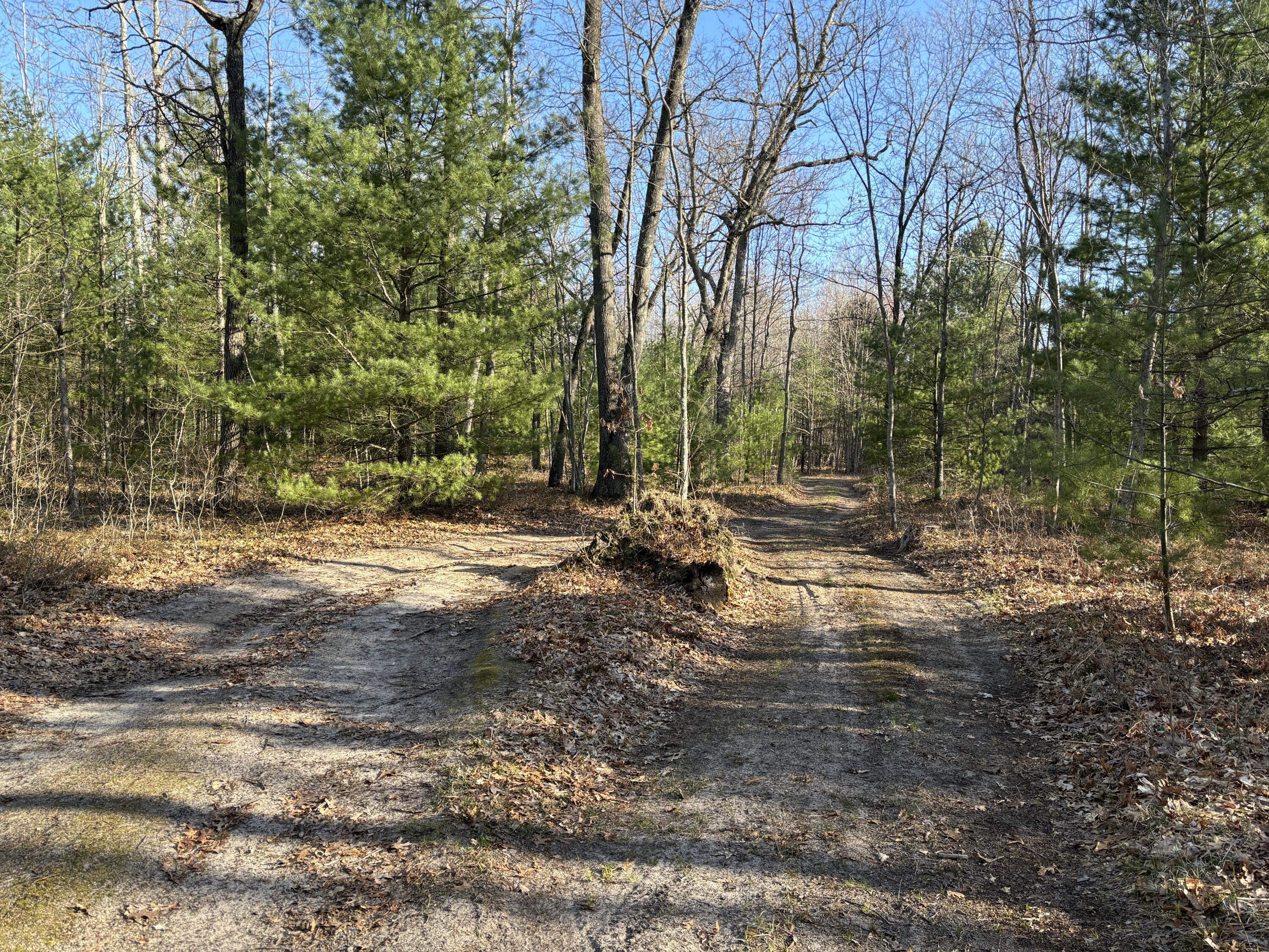 11322 North Tuttle Road Free Soil, MI 49411 - Photo 13 of 13 13