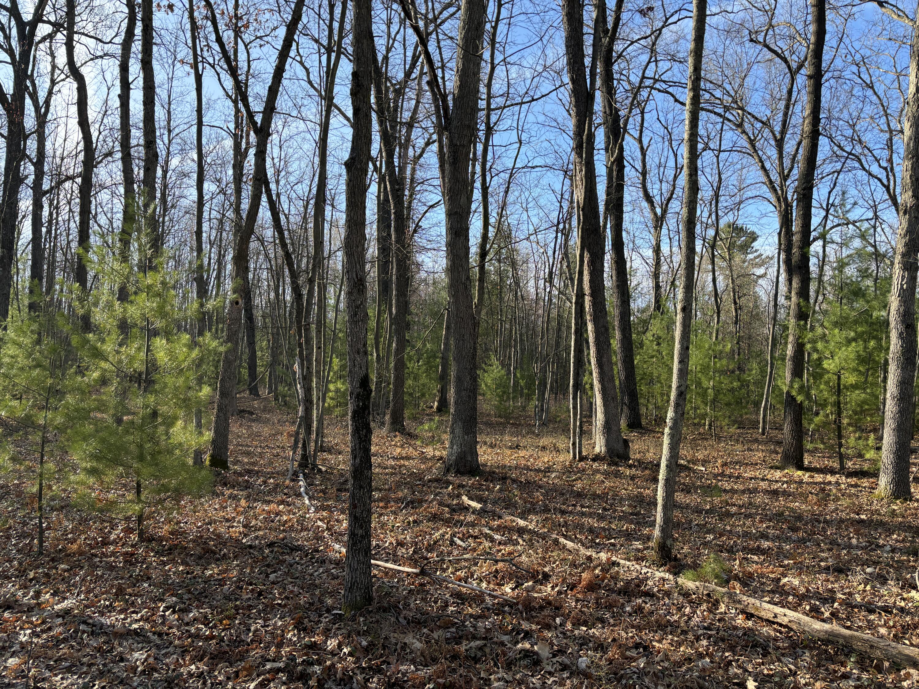 11322 North Tuttle Road Free Soil, MI 49411 - Photo 8 of 13 8