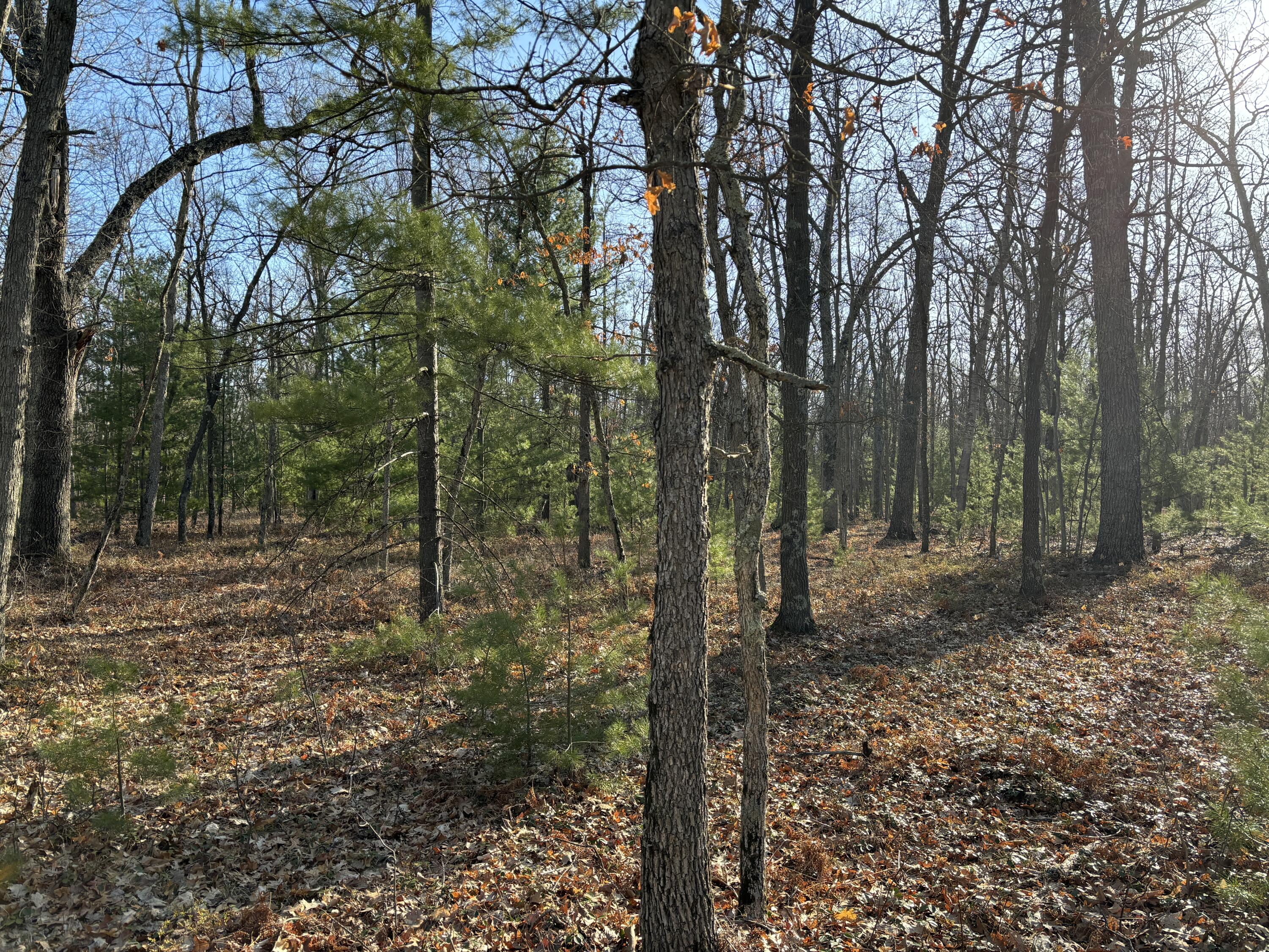 11322 North Tuttle Road Free Soil, MI 49411 - Photo 9 of 13 9