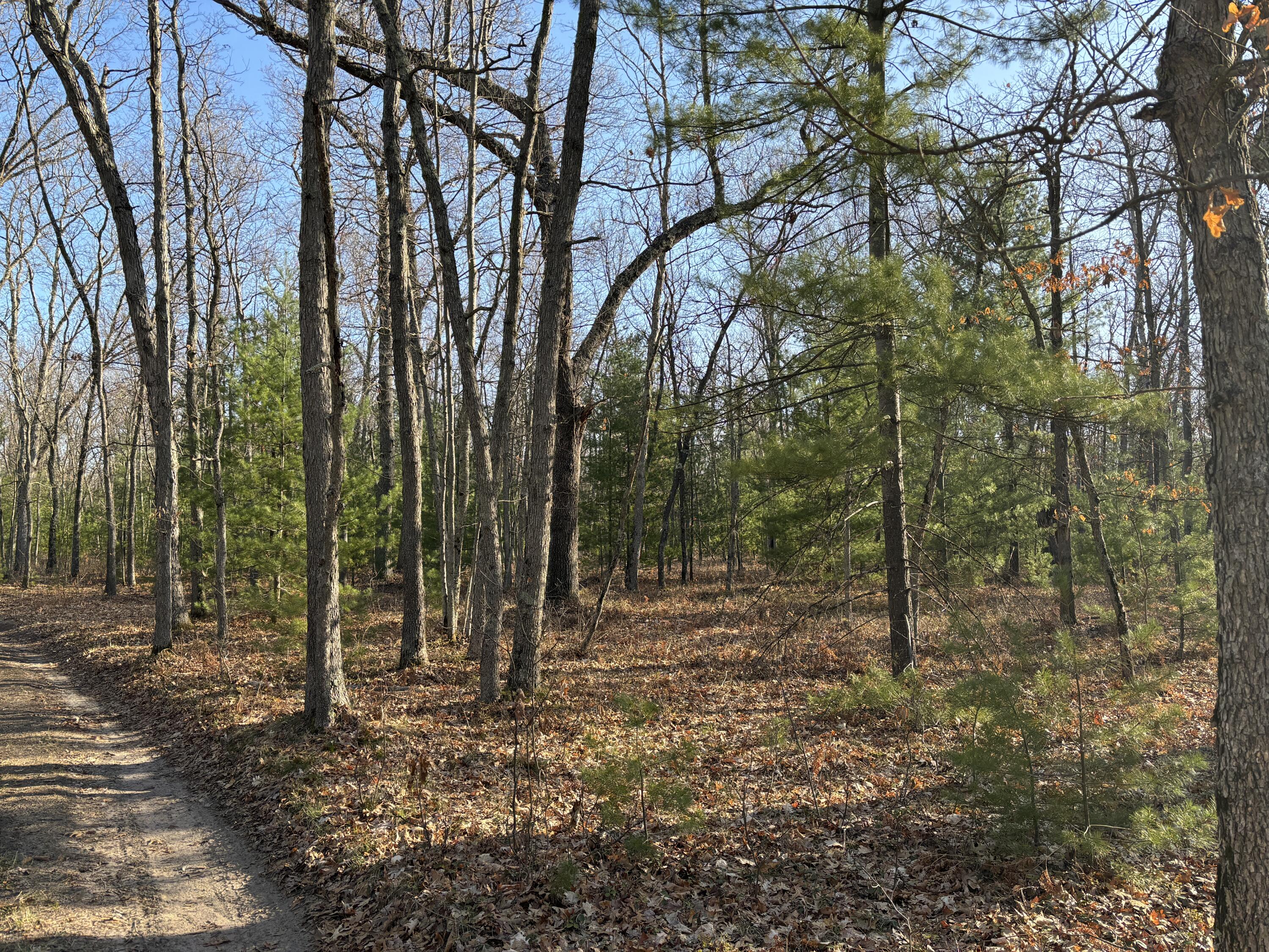 11322 North Tuttle Road Free Soil, MI 49411 - Photo 10 of 13 10