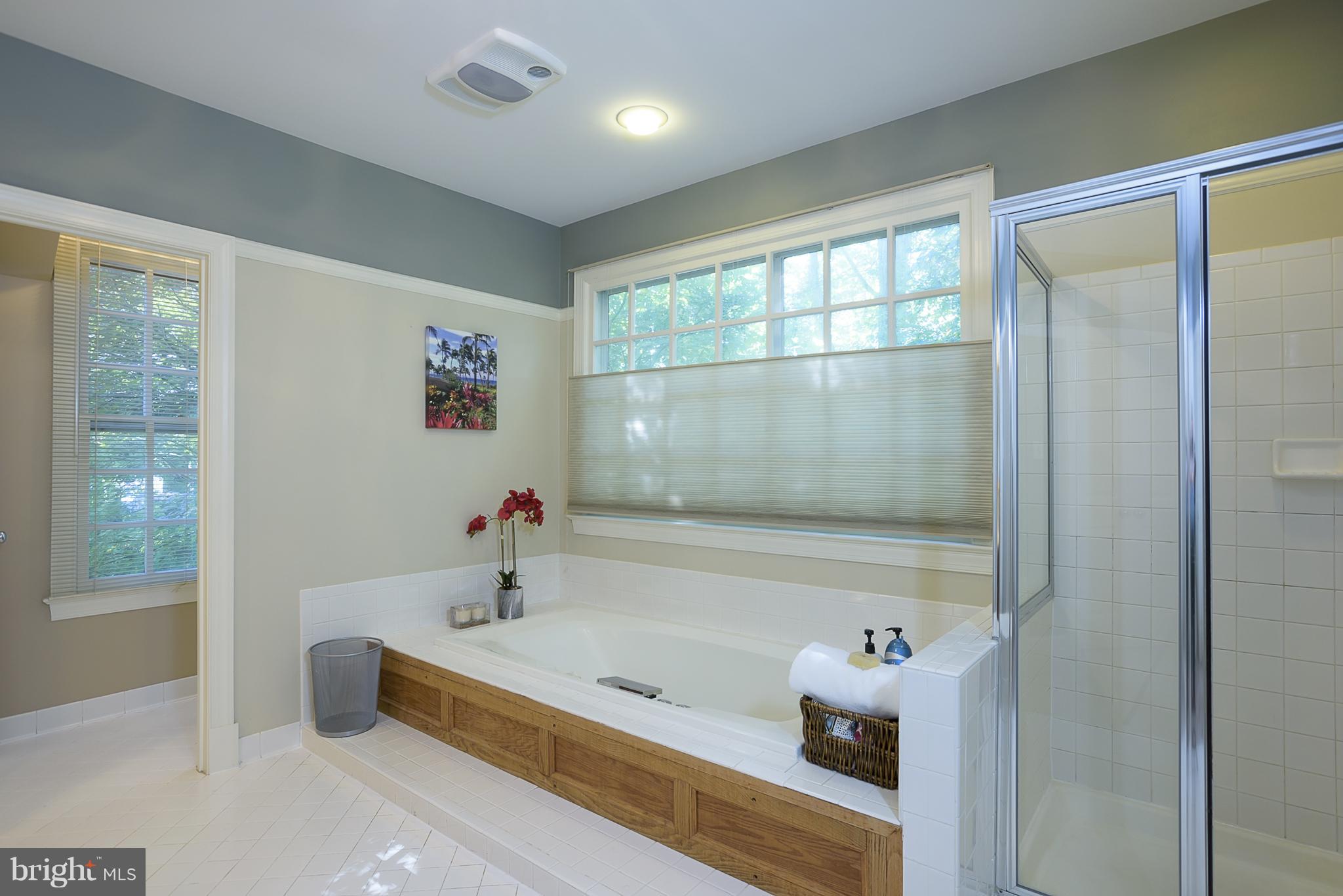 2307 Ridge Tree Court Ellicott City, MD 21042 - Photo 17 of 30 Bath (Master)