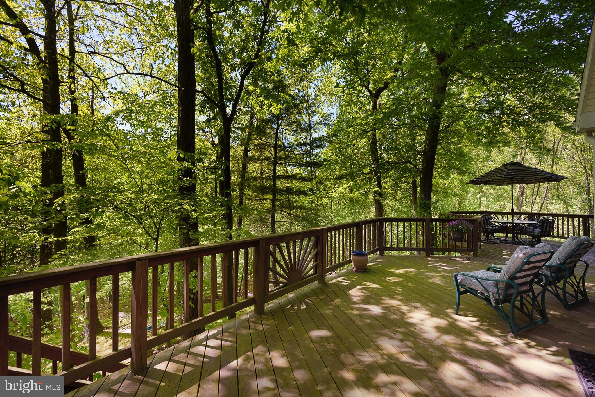 2307 Ridge Tree Court Ellicott City, MD 21042 - Photo 28 of 30 Exterior (Rear)